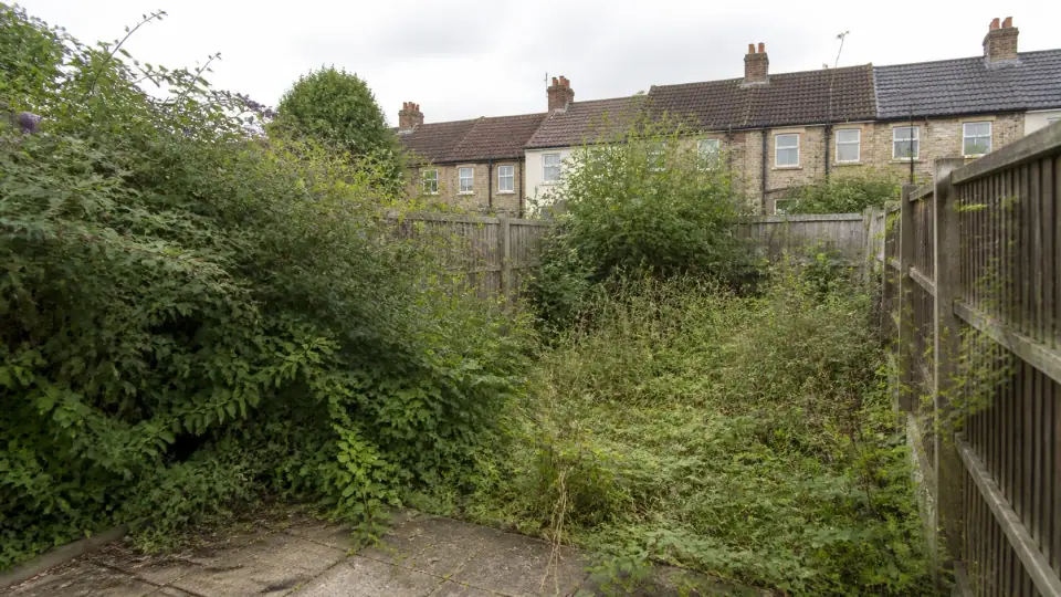 Overgrown West London garden before clearance, with waist-high grass and brambles across the lawn